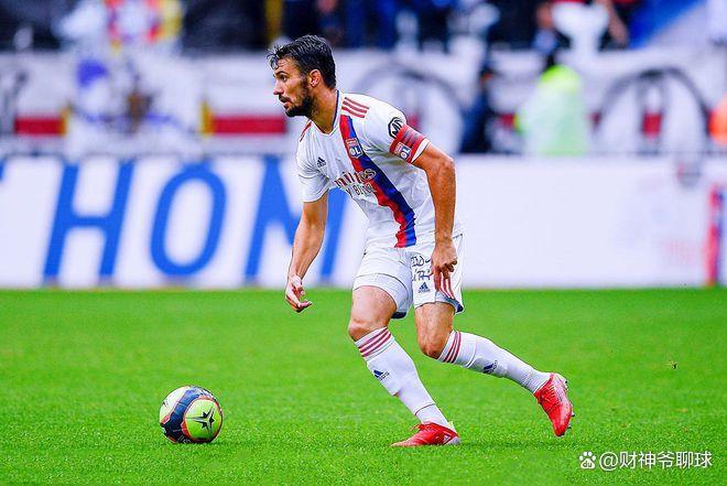 里尔主场击败甘冈,法甲冲刺正酣的简单介绍 里尔主场击败甘冈,法甲冲刺正酣的简单介绍